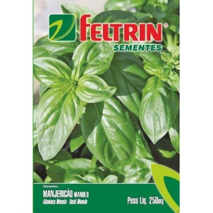 SEMENTES PARA PLANTAÇÃO MANJERICÃO