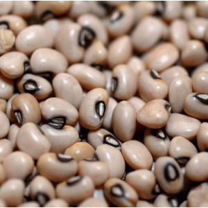 FEIJÃO FRADINHO 1KG